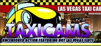 Taxi Cams