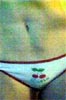 Free Sex Cams